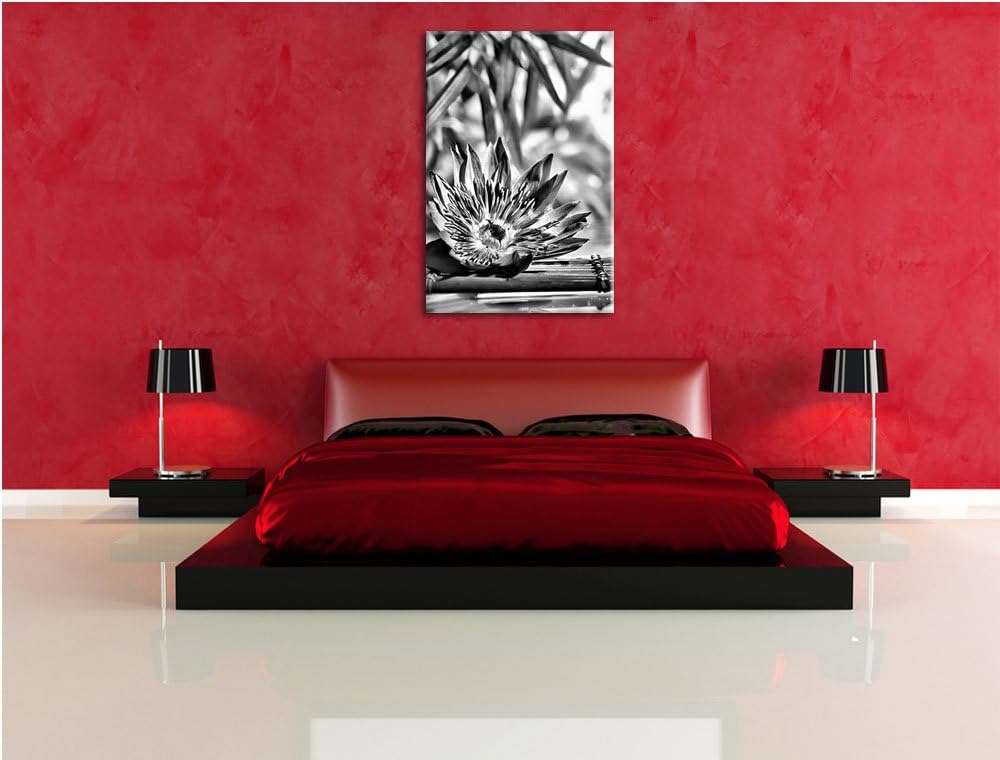 Pixxprint Monocrome, Seerose auf Bambus Wellness, Format: 100x70 auf Leinwand, 100x70