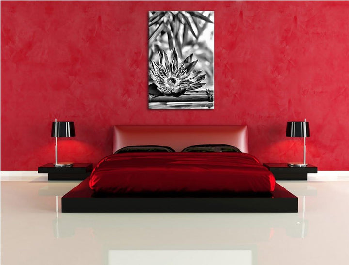 Pixxprint Monocrome, Seerose auf Bambus Wellness, Format: 100x70 auf Leinwand, 100x70