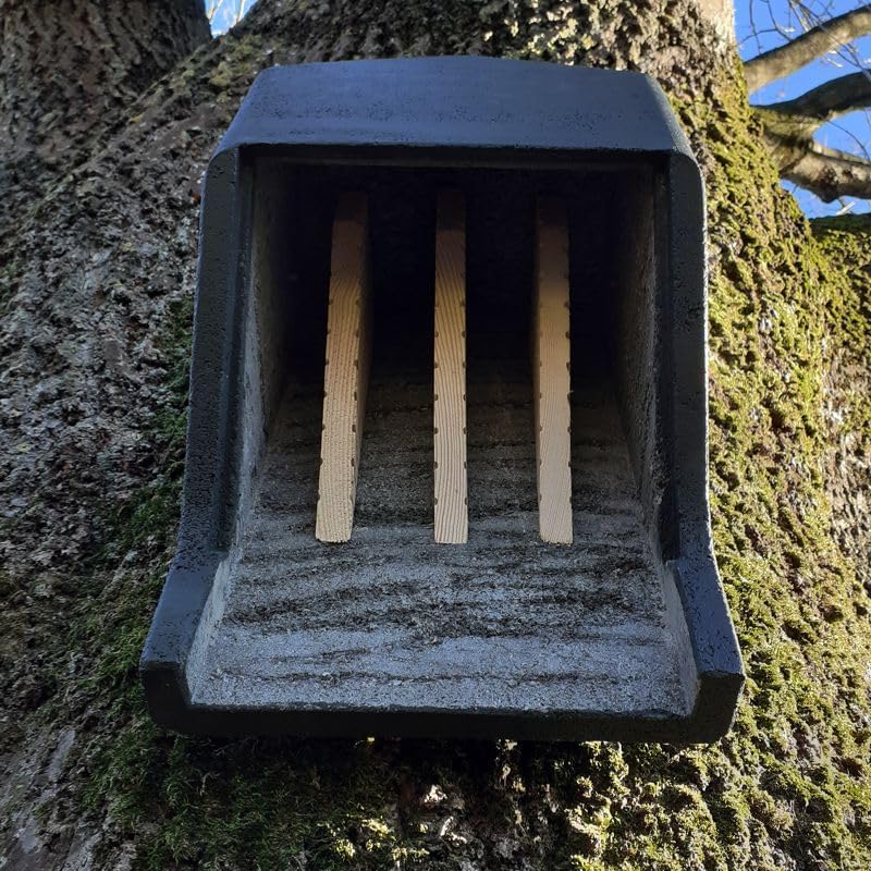 Fledermaus Grossraumkasten universal aus Holzbeton | Wetterfest | Fledermausquartier | Fledermauswoc