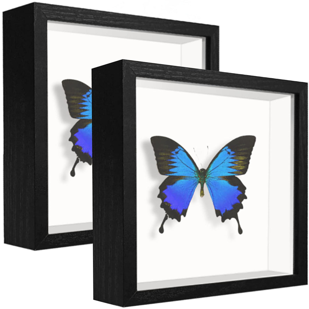 sunmeg 2Pcs 3D Bilderrahmen zum Befüllen 14 x 14cm Bilderrahmen Tief 3D Objektrahmen Hölzern bis 3cm