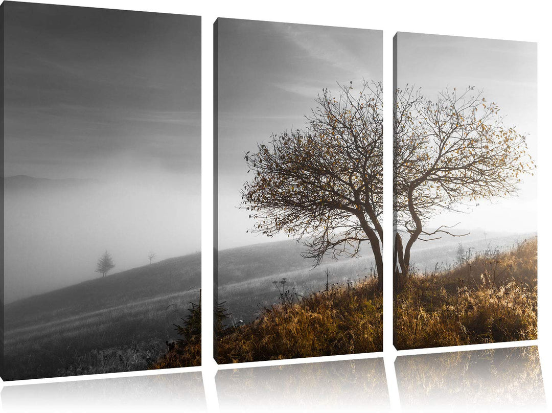 Einsamer Baum auf Berg schwarz/weiss 3-Teiler Leinwandbild 120x80 Bild auf Leinwand, XXL riesige Bil