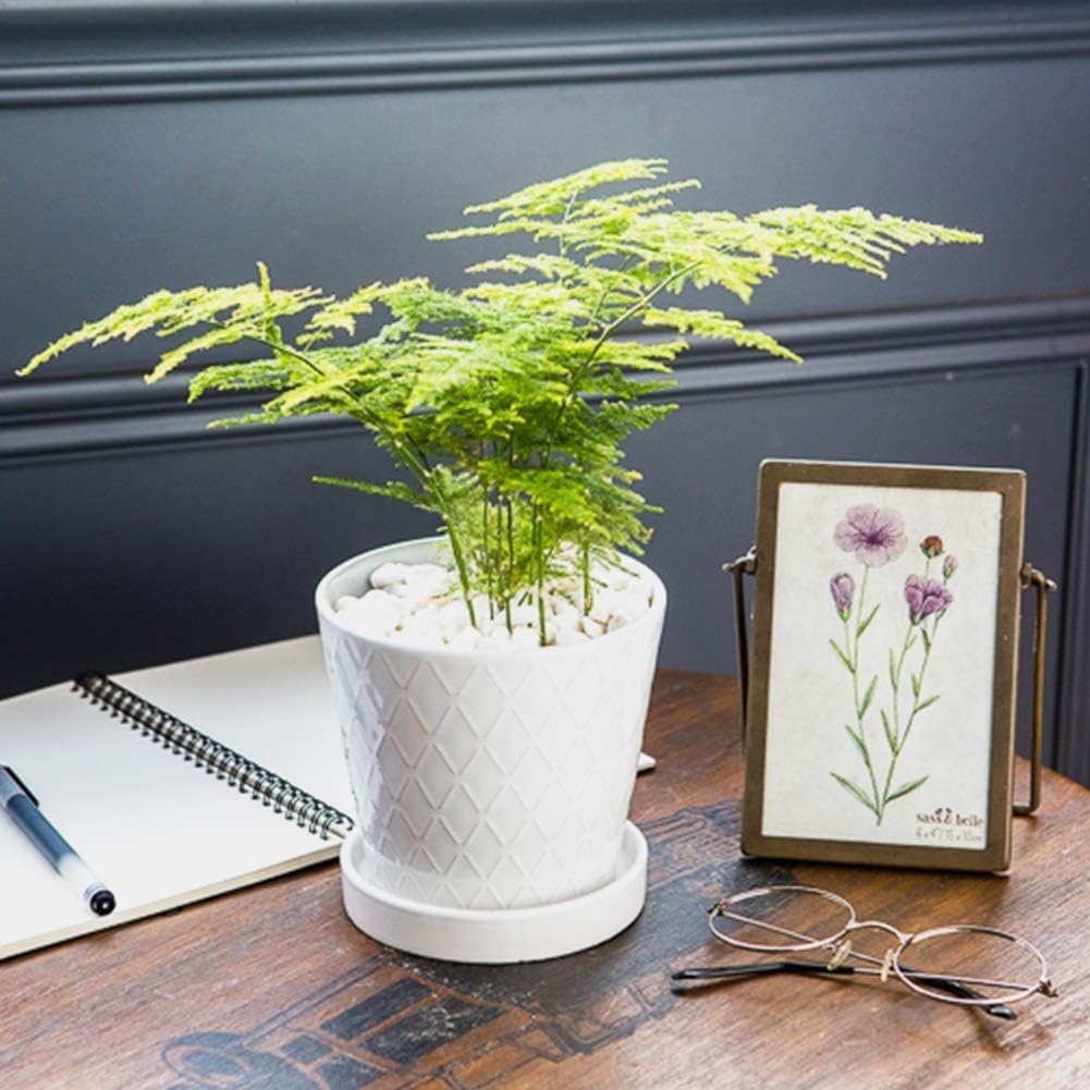 Buymax Blumentöpfe für den Innenbereich, 12.7 cm, Keramik-Blumentopf mit Ablaufloch und Keramik-Tabl