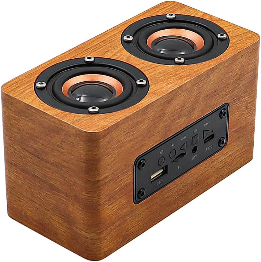 H3 Karaoke-Maschine aus Holz, Mikrofon-Karaoke mit 2 kabellosen Mikrofonen Freund, Ehemann