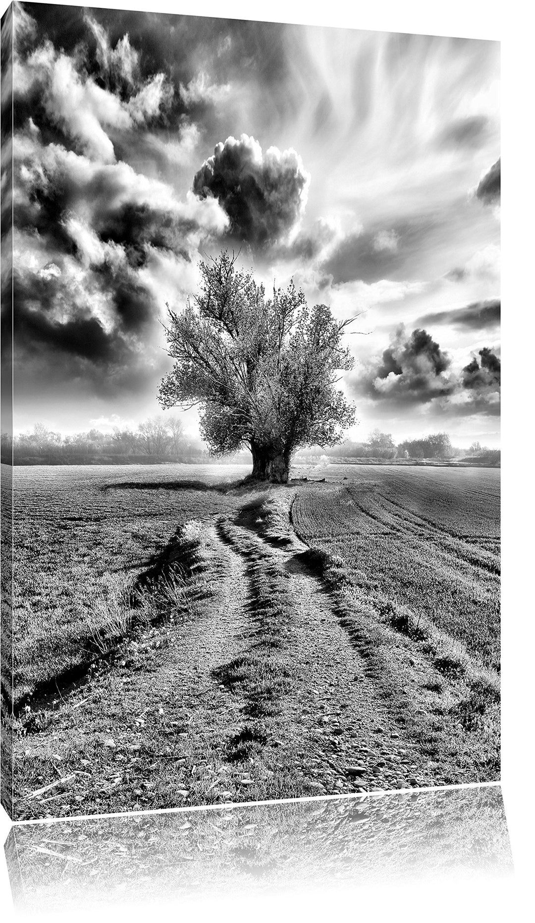 Pixxprint Pinkes Feld mit pinkem Baum als Leinwandbild | Grösse: 100x70 | Wandbild| Kunstdruck | fer