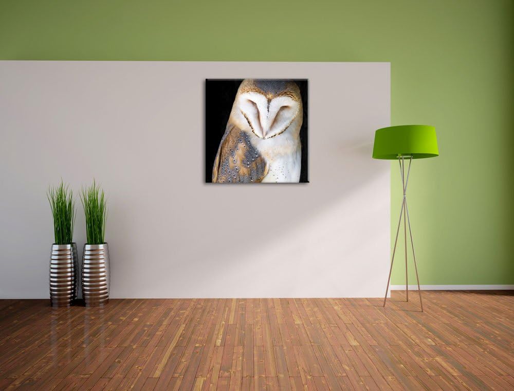 Schleiereule Schwarz/Weiss, Format: 70x70 auf Leinwand, XXL riesige Bilder fertig gerahmt mit Keilra
