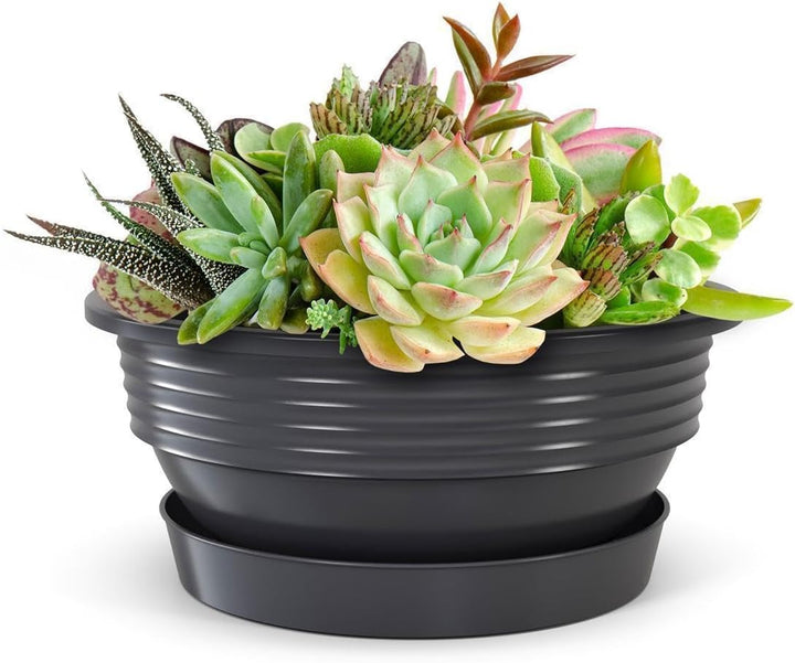 Pflanzschale mit Untersetzer im 3er Set in Anthrazit 40 cm Durchmesser grosse runde Blumenschalen au