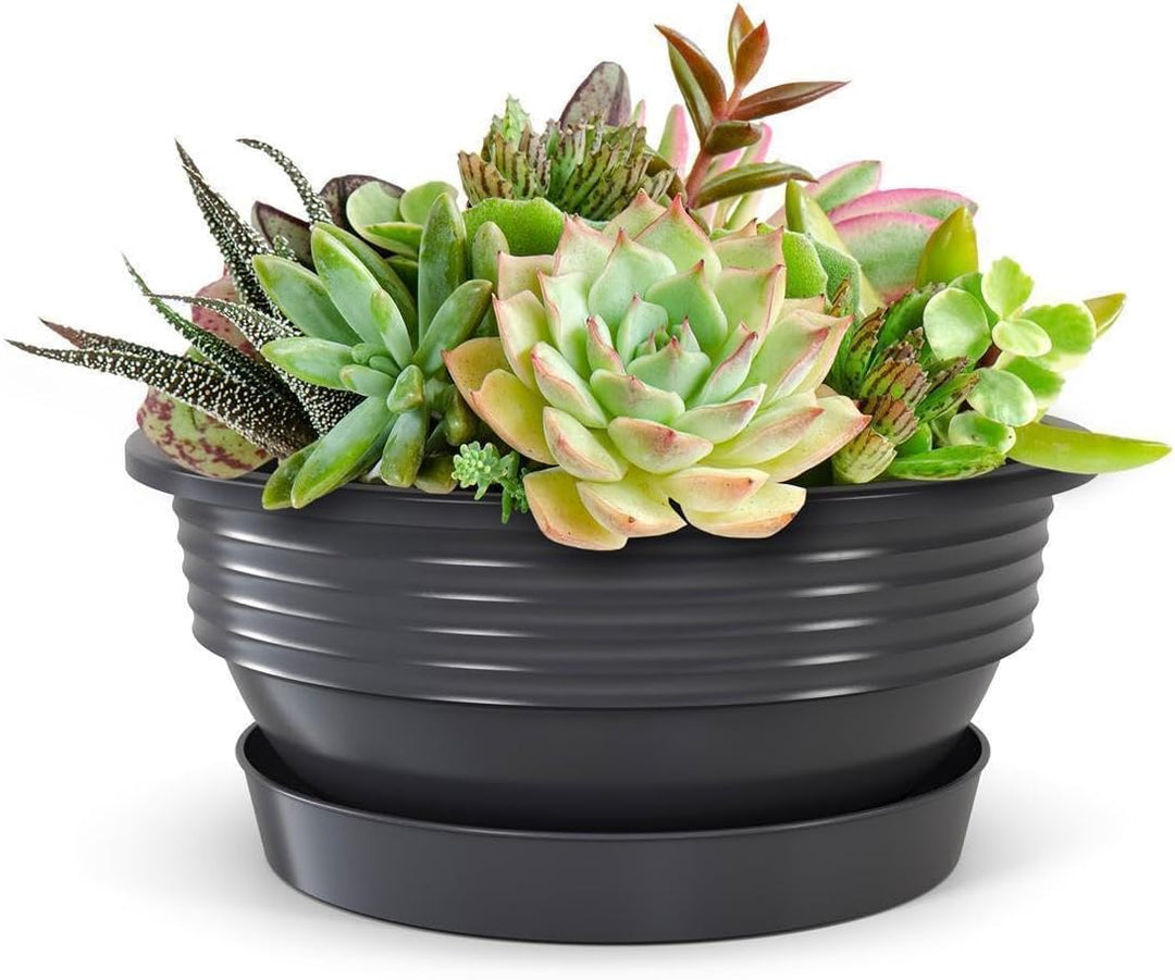 Pflanzschale mit Untersetzer im 5er Set in Anthrazit 40 cm Durchmesser grosse runde Blumenschalen au