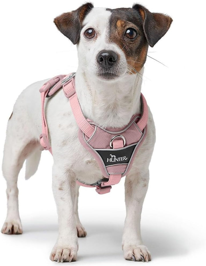 Geschirr Divo Up Farbe Altrosa, Grösse L-XL L-XL altrosa, L-XL altrosa