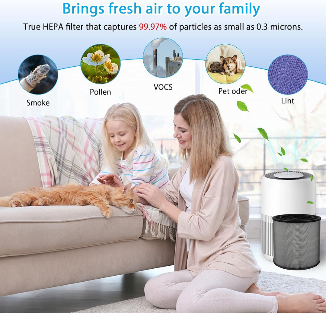 2 Stück FY0910 Ersatzfilter für Philips 900 Serie AC0950 AC0951, H13 True HEPA Filter mit Aktivkohle