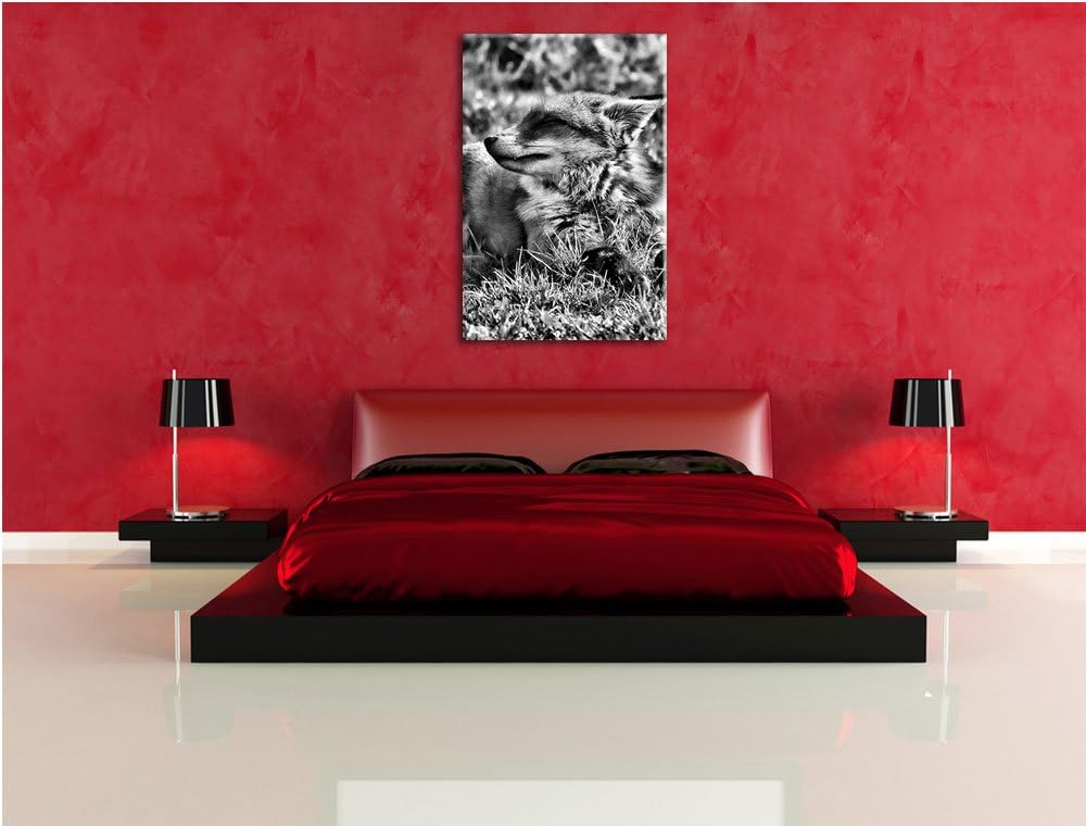 Monocrome, Fuchs im Gras, Format: 100x70 auf Leinwand, XXL riesige Bilder fertig gerahmt mit Keilrah