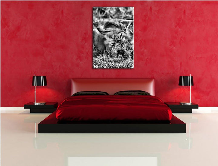 Monocrome, Fuchs im Gras, Format: 100x70 auf Leinwand, XXL riesige Bilder fertig gerahmt mit Keilrah
