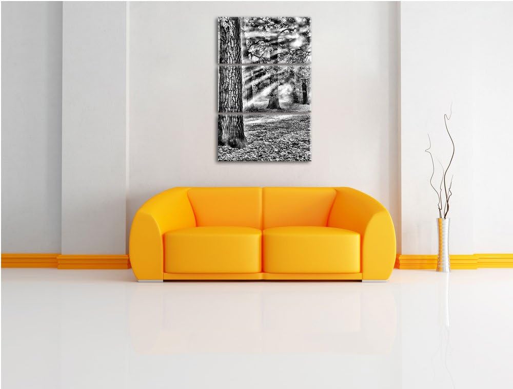 Pixxprint Sonnenstrahlen im Wald als Leinwandbild/Grösse: 3 Teilig (120x80) cm/Wandbild/Kunstdruck/f