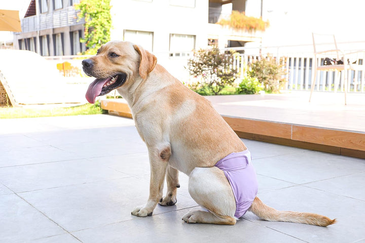 Waschbare Windeln für Hunde, Wiederverwendbare Hundewindeln, Umweltfreundliche Damenbinden Höschen,