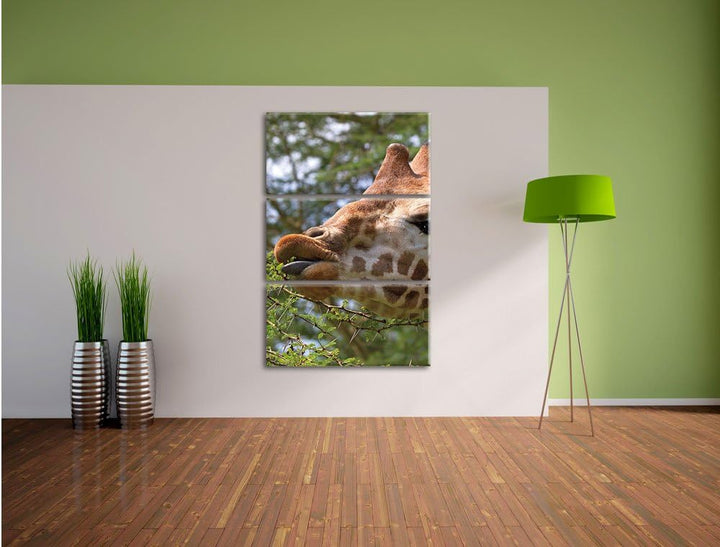 Pixxprint niedliche Giraffe beim Fressen als Leinwandbild/Grösse: 3 Teilig (120x80) cm/Wandbild/Kuns