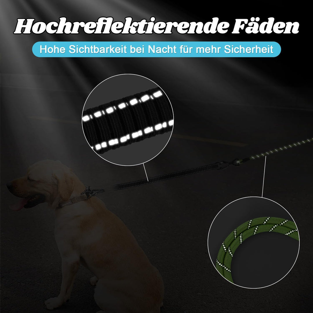 Aystkniet Schleppleine 10M für Hunde, Hundeleine mit Abnehmbare Elastische Kordel | Abschliessbarer