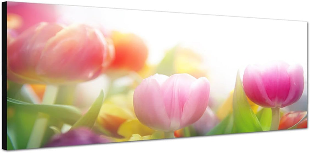 Paul Sinus Art Panoramabild auf Leinwand und Keilrahmen 150x50cm Tulpen Frühling Wiese Licht