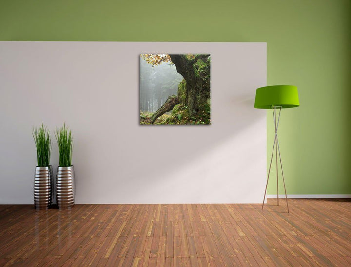 Pixxprint Dicker Baum im Wald im Moos / 70x70cm Leinwandbild bespannt auf Holzrahmen/Wandbild Kunstd