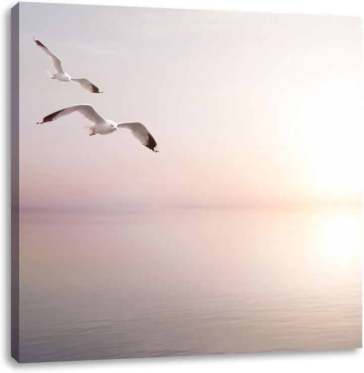 Pixxprint Möwen am Meer bei Sonnenaufgang, Format: 70x70 auf Leinwand, 70x70