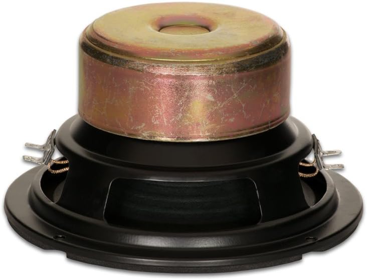 Goldwood Sound Dual Voice Coil 16,5 cm Ersatzlautsprecher Woofer Schwarz (GW-406D) 6.5-Inch, 6.5-Inc