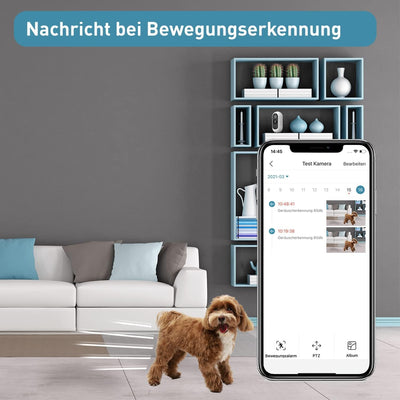 PetTec® Cam Free 2er Set - Wireless Haustierkamera Hundekamera mit App [OHNE ABO-Falle] - Katzen & H