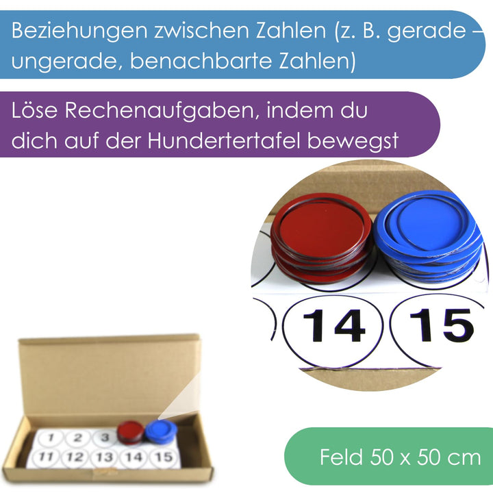 WISSNER aktiv lernen - Magnetisches Hunderter Feld 52 Teile