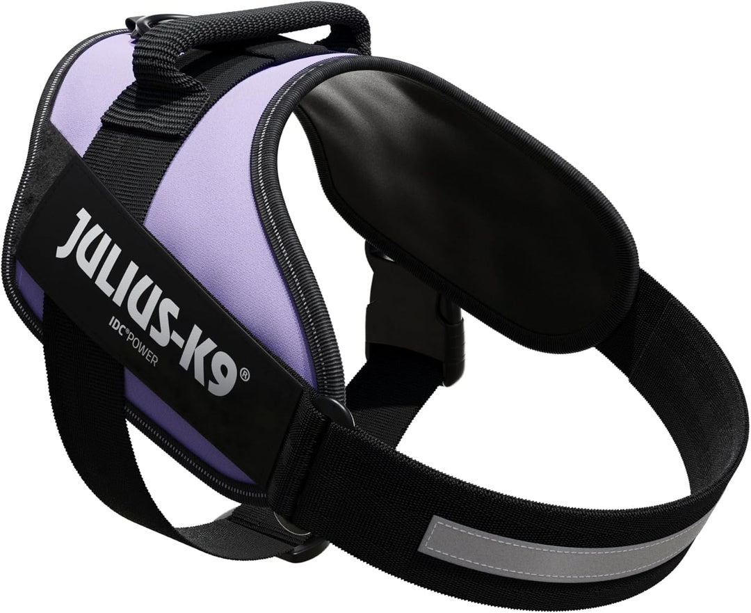 IDC Powergeschirr, Grösse: L/1, Violett Violett L/1, Violett L/1
