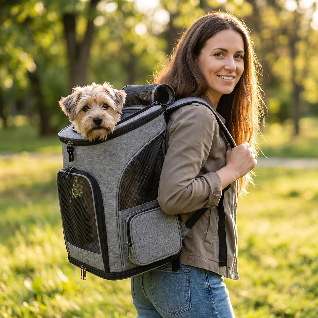 PETCUTE Hundetragetasche Katzenrucksack Haustier Rucksack Atmungsaktiv Wanderrucksack für Kleine Hun