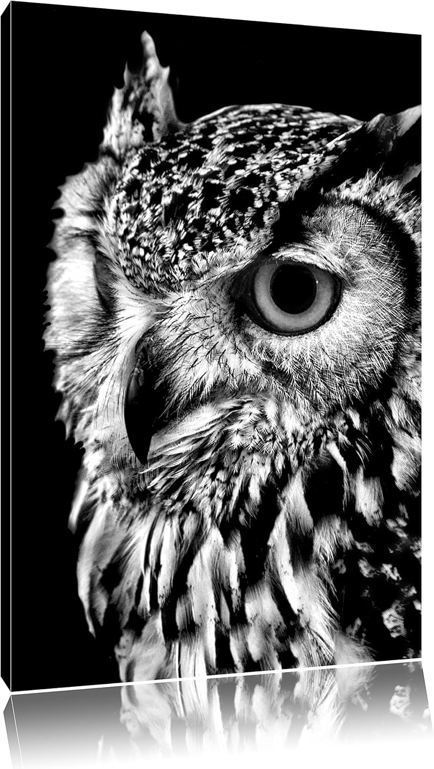 Pixxprint Dark Eule mit orangen Augen als Leinwandbild/Grösse: 100x70 cm/Wandbild/Kunstdruck/fertig