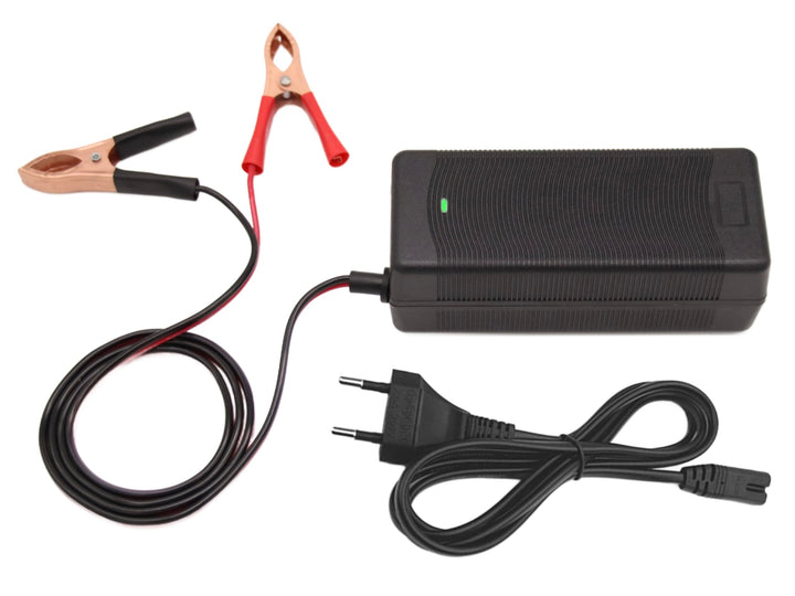 14,6 V 10 A LiFePO4 Akku-Ladegerät, Smart-Lader für 12,8 V Lithium-Eisenphosphat-Batterien Krokodil
