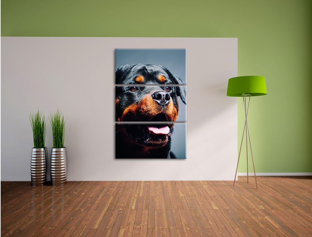 Pixxprint Treuer Rottweiler als Leinwandbild | Grösse: 3 Teilig (120x80) | Wandbild| Kunstdruck | fe