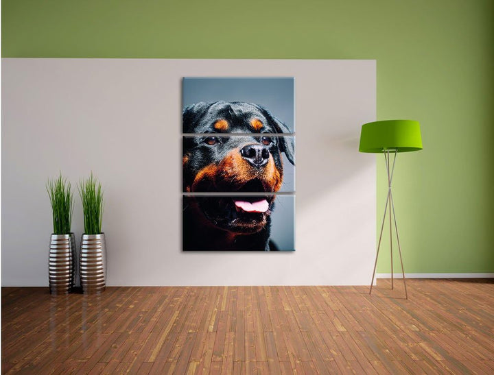Pixxprint Treuer Rottweiler als Leinwandbild | Grösse: 3 Teilig (120x80) | Wandbild| Kunstdruck | fe