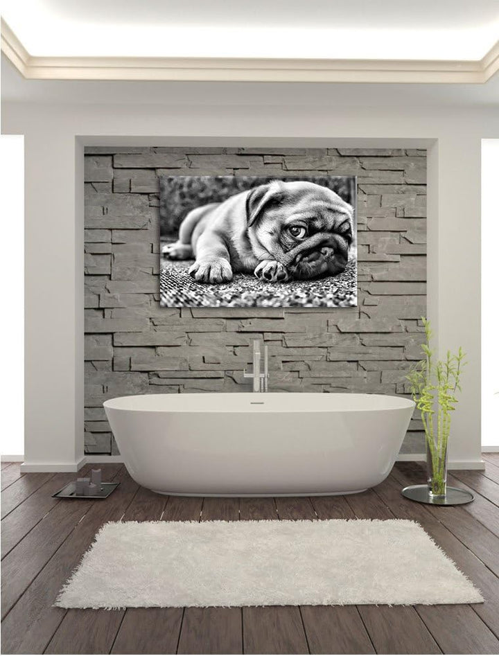 Pixxprint Süsser Mops auf Teppich als Leinwandbild/Grösse: 100x70 / Wandbild/Kunstdruck/fertig bespa