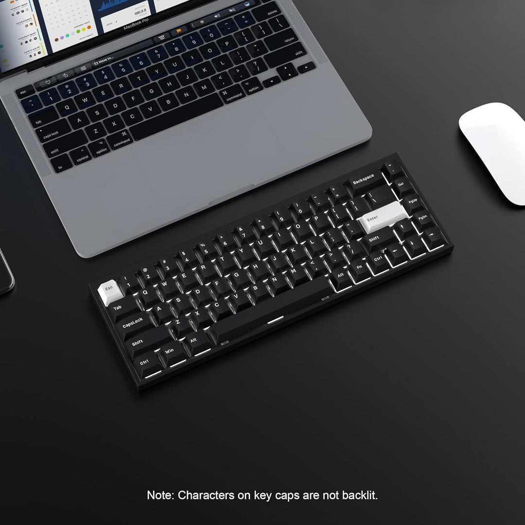WOB Keycaps 168 Tasten, Double Shot PBT Custom Keycap Set, Minimalistischer Stil Weiss auf Schwarz C