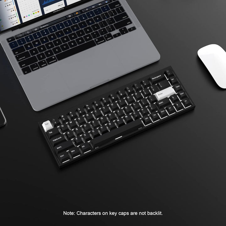 WOB Keycaps 168 Tasten, Double Shot PBT Custom Keycap Set, Minimalistischer Stil Weiss auf Schwarz C