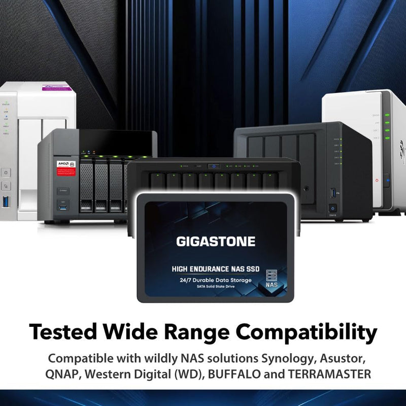 Gigastone NAS SSD 1TB Enterprise SSD Festplatte TLC Hohe Dauerhaltbarkeit Server SSD für 24/7 Dauerb