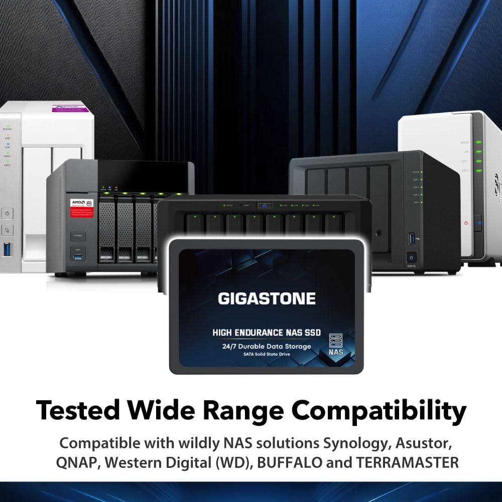 Gigastone NAS SSD 1TB Enterprise SSD Festplatte TLC Hohe Dauerhaltbarkeit Server SSD für 24/7 Dauerb