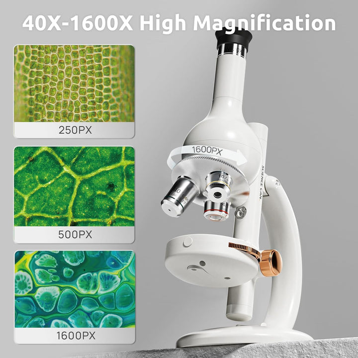 Science Can Mikroskop für Kinder 40X-1600X LED Studentenmikroskop mit 8 Vorbereiteten Dias Biologie-