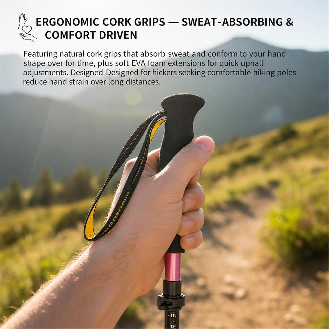 Trekkingstöcke Carbon Ultraleicht 169 g, Teleskop Wanderstöcke 63–135 cm | Teleskop Wanderstöcke 63–