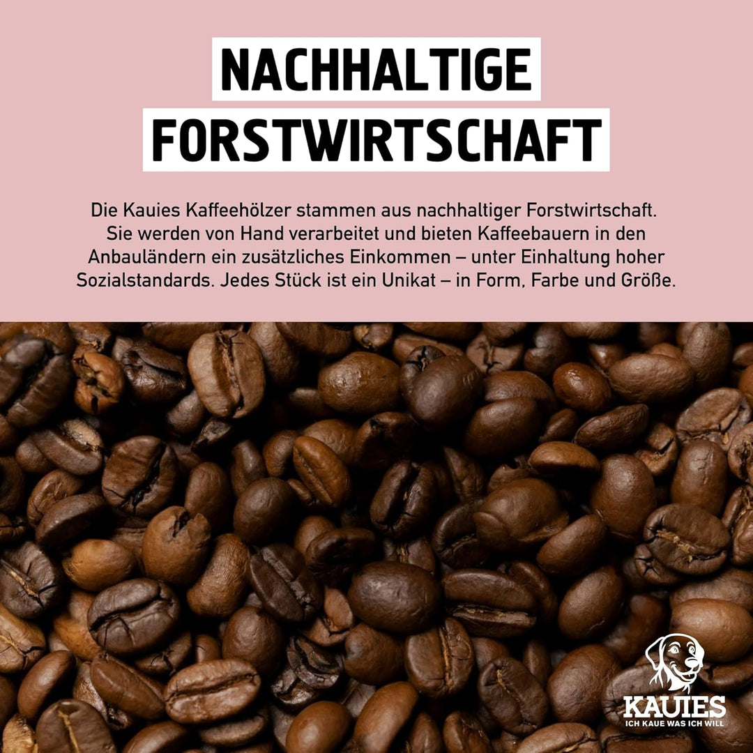 Kaffeeholz für Hunde - Hundespielzeug 100% natürlich, vegan, koffeinfrei &amp; kalorienfrei, schadstoffg
