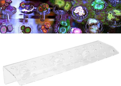 Aquarium Saugnapfhalter,Transparent Aquarium Korallenständer Ständer Korallen Frag Rack Acryl Korall
