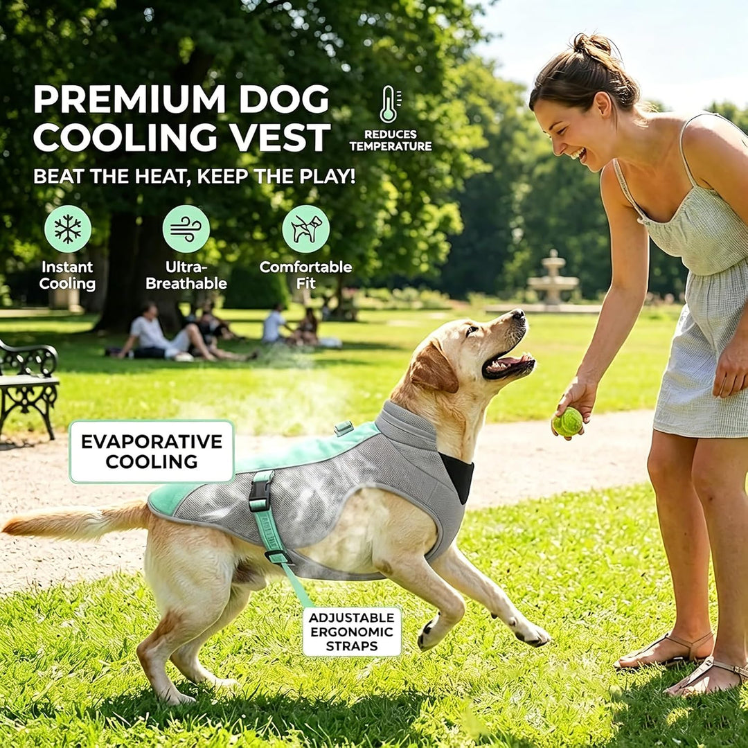 Verbesserte Hundekühlweste mit Sonnenschutz - Atmungsaktive Mesh-Weste für Hunde - Reflektierende St