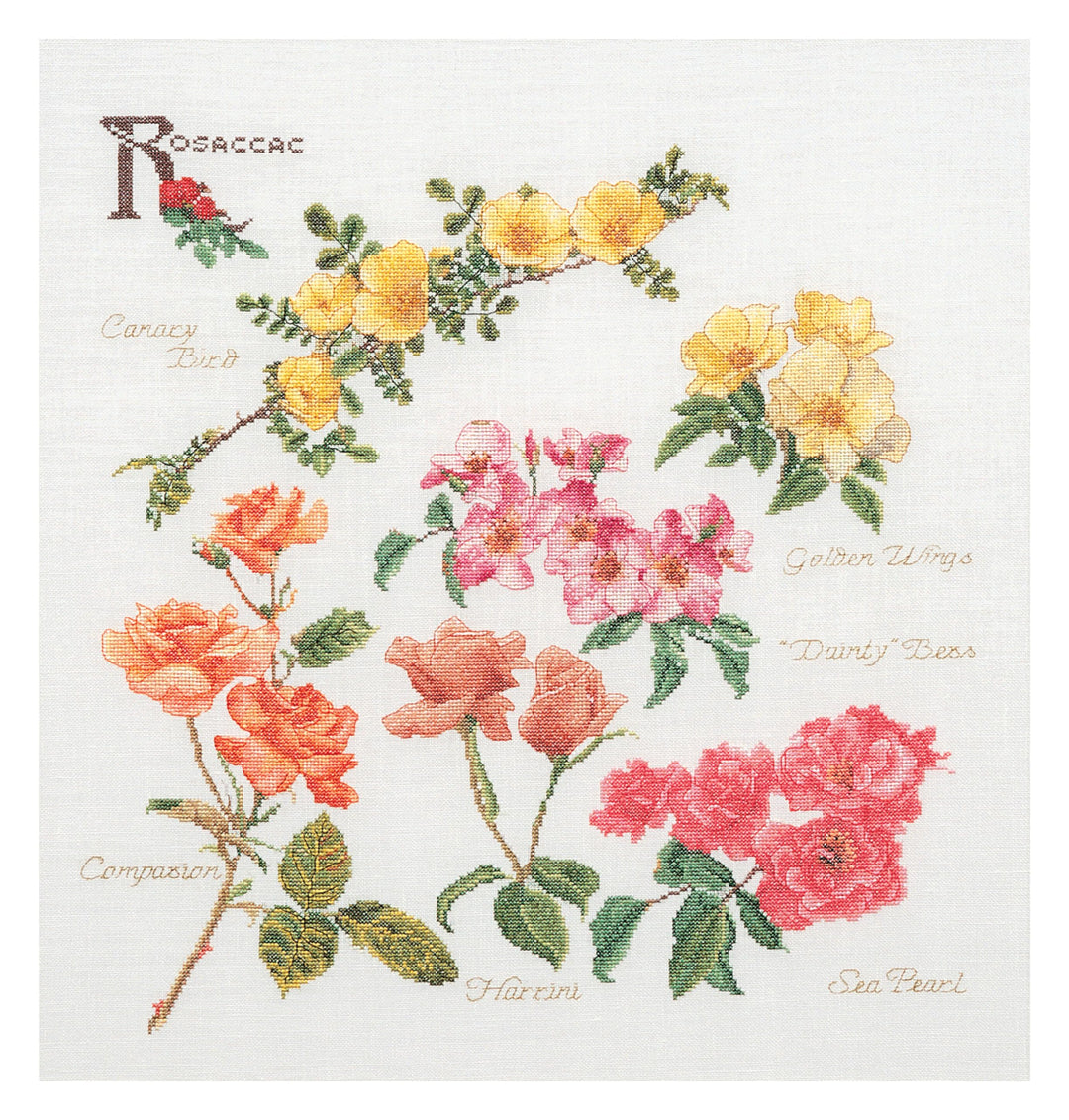 Thea Gouverneur - Kreuzstich-Set - Rosen - Leinen - 32 Count - Für Erwachsene - 3066 44x46cm Rosen,