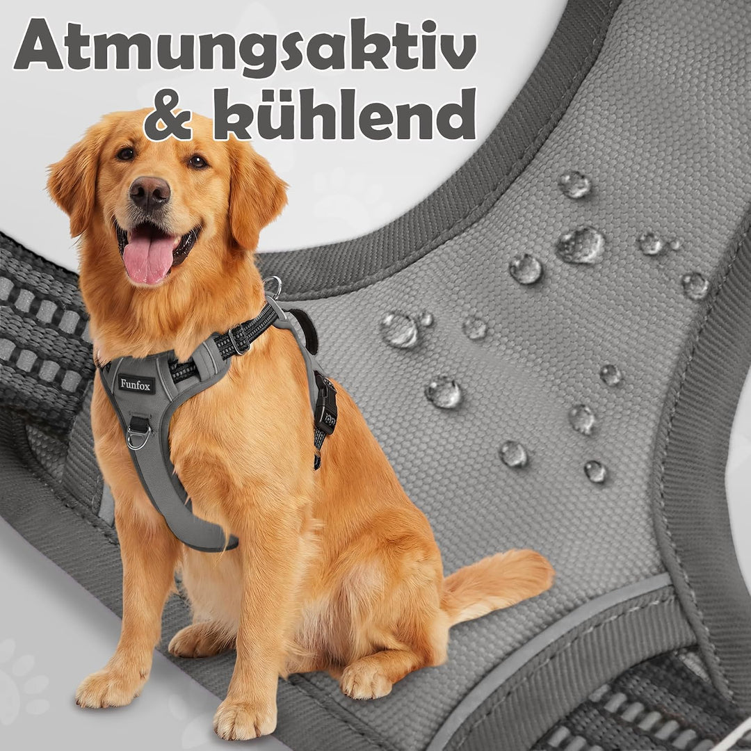 Funfox Hundegeschirr Kleine Hunde [S] - Anti Zug Welpengeschirr mit Griff &amp; Ringreflektoren, Atmungs
