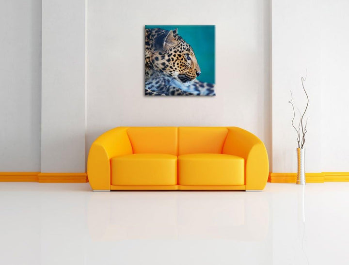 Wachsamer Gepard, Format: 70x70 auf Leinwand, XXL riesige Bilder fertig gerahmt mit Keilrahmen, Kuns