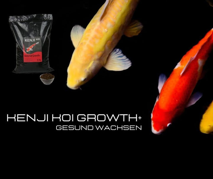 KENJI KOI Growth+ Koifutter 5kg 6mm Wachstumsfutter für den Koi | Schwimmendes Koifutter mit hochwer