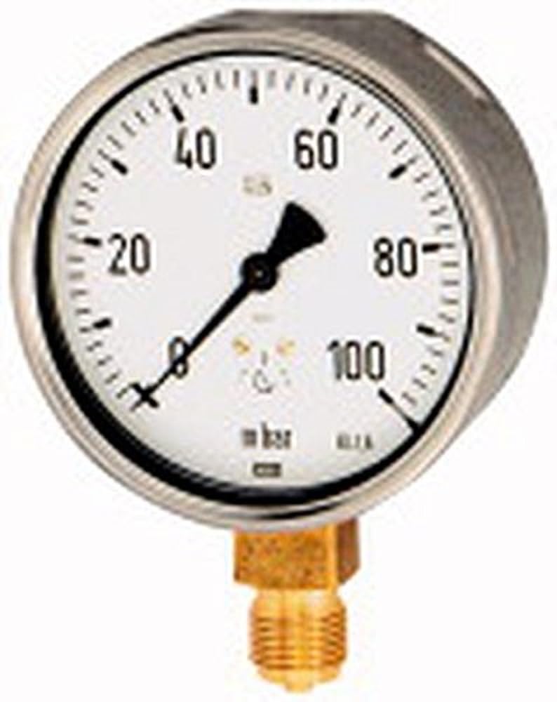 RIEGLER 102546-6816 Kapselfedermanometer, G 1/2 radial unten, 0-250 mbar, Ø 100, 1Stk