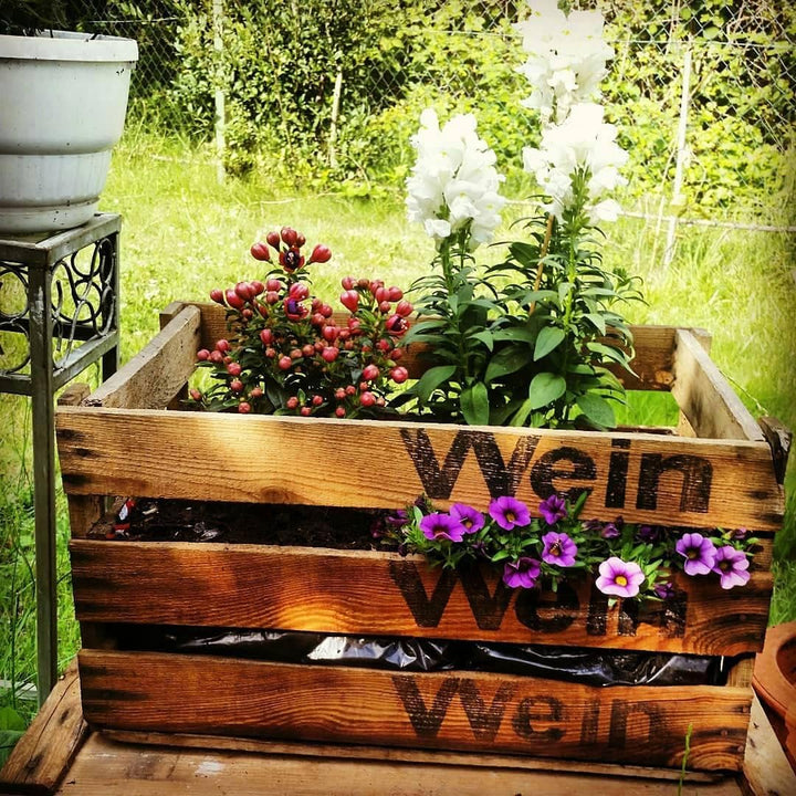 Alte stabile originale Badische Weinkiste Wein Wein Wein 50x35x28 cm Obstkiste alt rustikal (1), 1