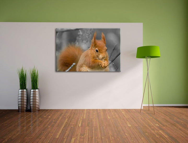 freches Eichhörnchen beim Fressen schwarz/weiss auf Leinwand, XXL riesige Bilder fertig gerahmt mit