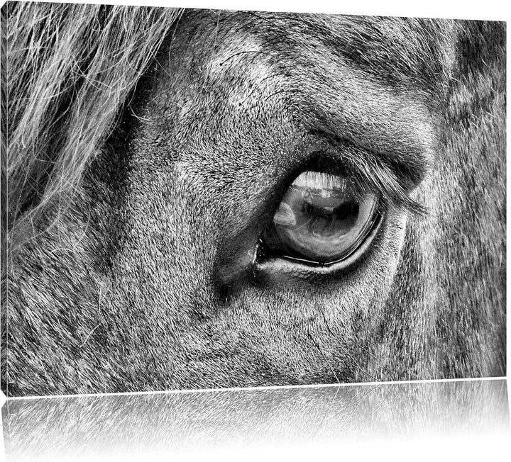 Pixxprint sanfte grosse Pferdeaugen / 100x70cm Leinwandbild bespannt auf Holzrahmen/Wandbild Kunstdr