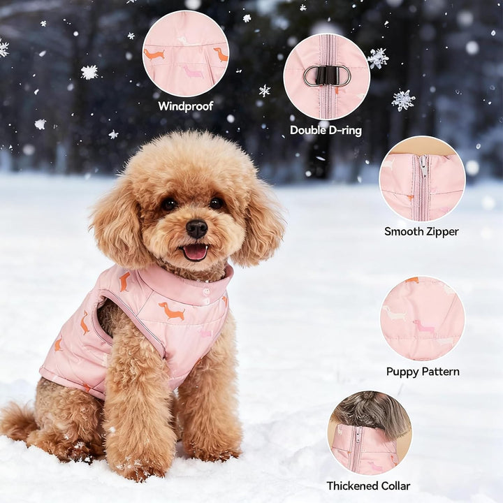 Hundemantel Winter Hundejacke Warme Hundemantel für Kleine Hunde Winddichte Hundeweste mit Geschirr